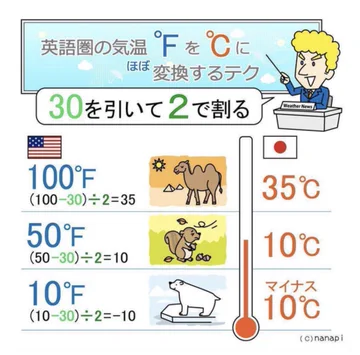 画像 / Picture