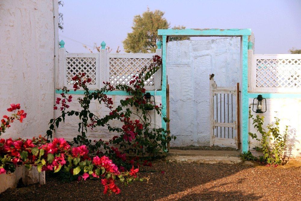 Colognelia's tweet photo. Desert home Dev Bagh in #Setrawa #Thar https://t.co/MKTzXzoBAl