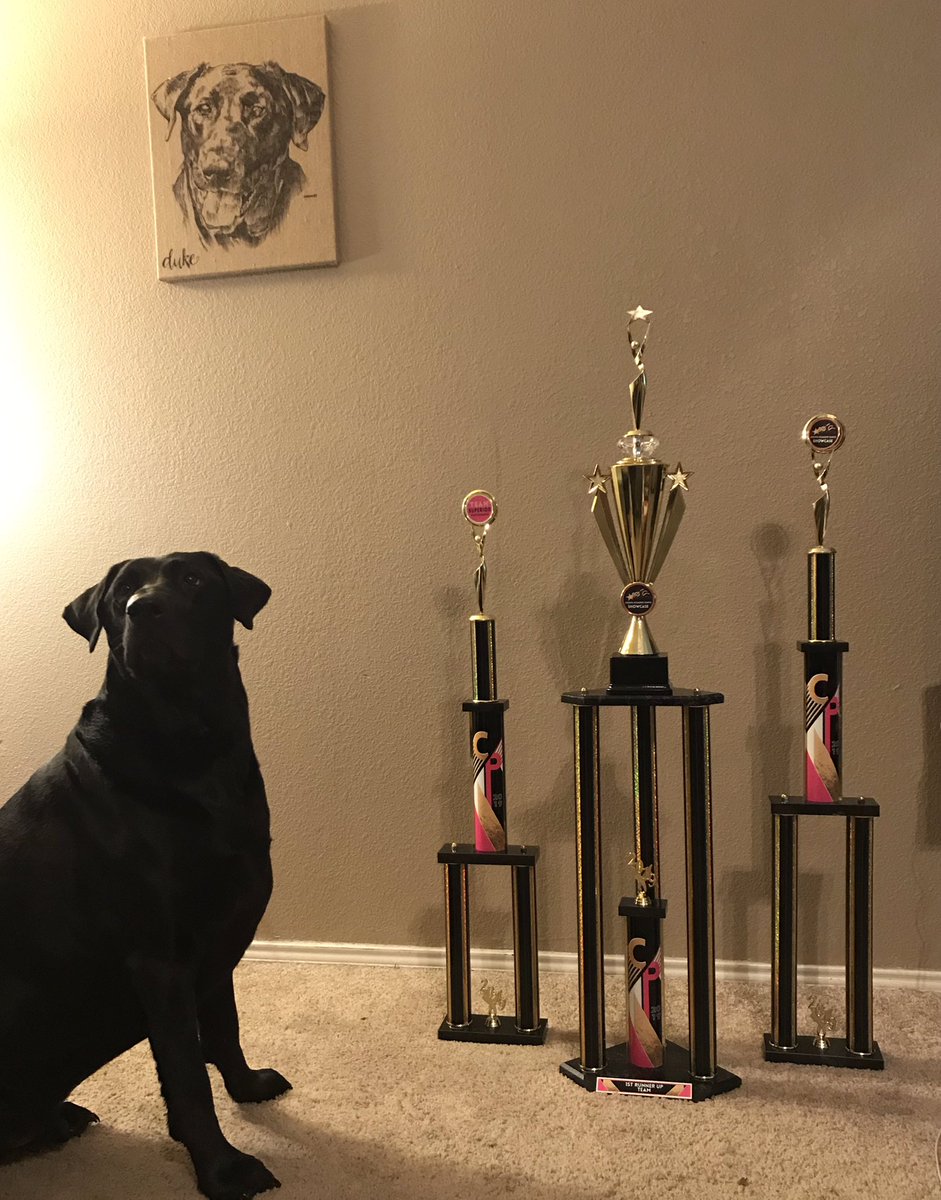 Coach_Shep1's tweet photo. The @PISDReynolds Eagle Darlings drill team brought home some SERIOUS hardware late last night after a full day of performances! GREAT JOB, LADIES!! Duke stepped in to help show off the size of these🏆’s (he’s only 150lbs, btw... 😳). Follow them on Instagram: @rms_eagledarlings https://t.co/gslKTyw2J1