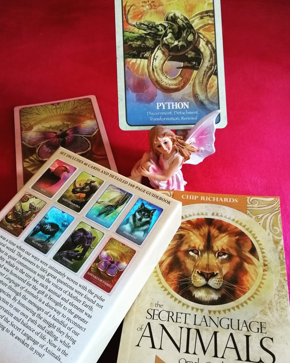 #chiprichards #totemanimal #secretlanguageofanimals #oracledeck #python