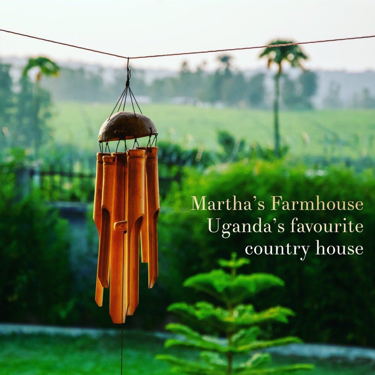 FarmhouseMartha's tweet photo. Sometimes one picture says it all #marthasfarmhouse @AhaJonathan @thepointsguy #VisitUganda #visitafrica #UgandaWildlife https://t.co/Ij5TmYfWhO