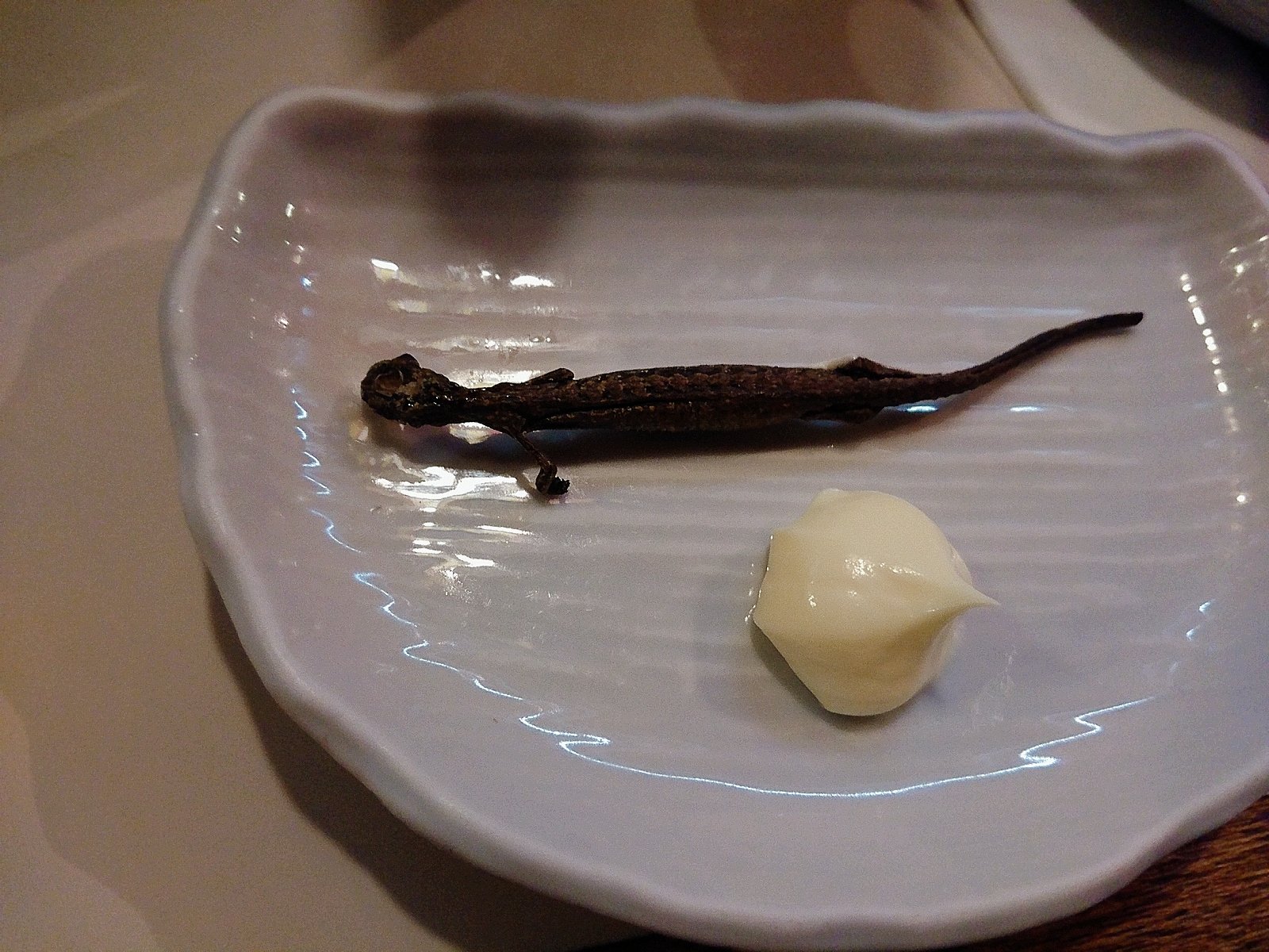 ヤモリ 干物 千と千尋 易