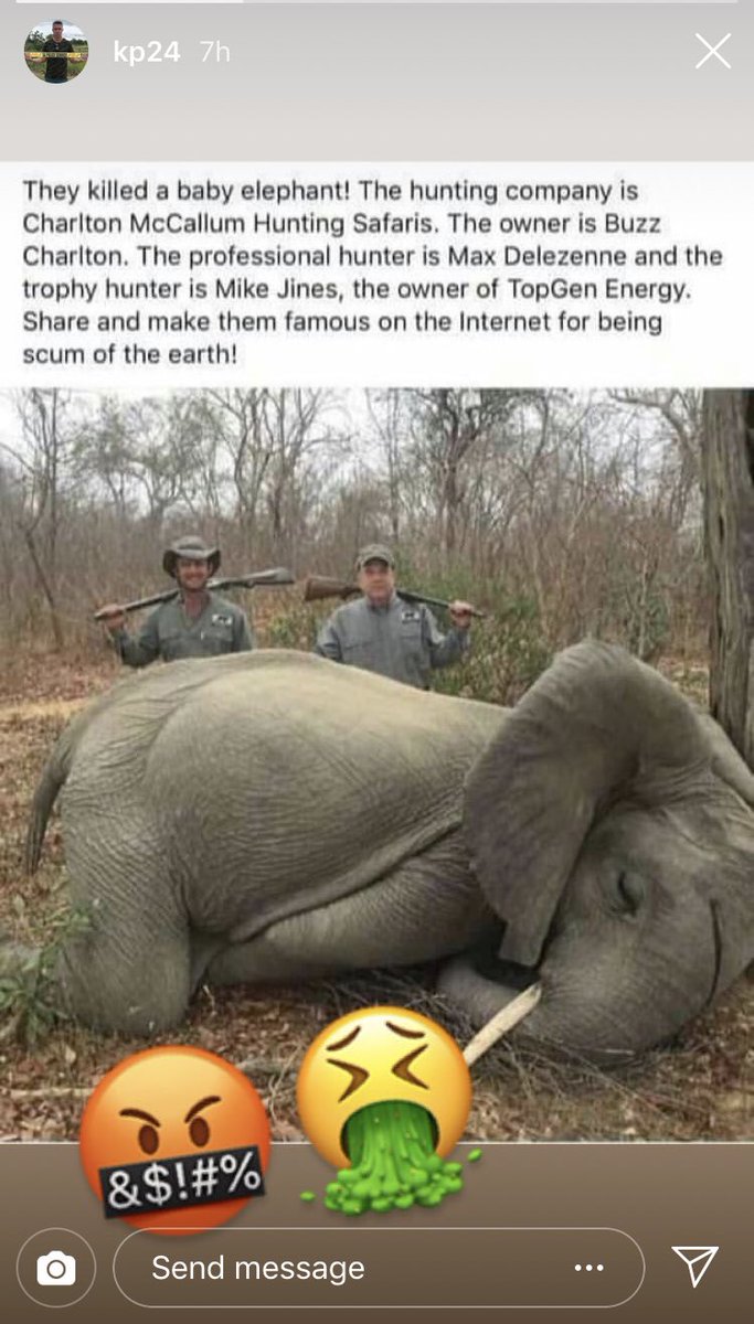 This is disgusting... And barbaric, how can this not be banned.. These people need to be fully shamed for this. 🤮🤬🐘 <a href="/KP24/">Kevin Pietersen🦏</a>