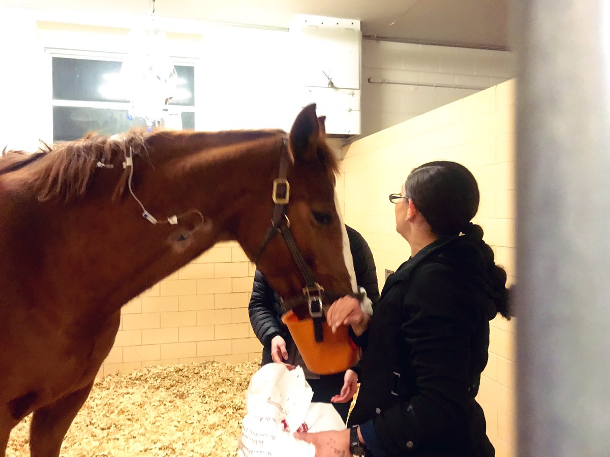 Julie Browning Bova tweet media