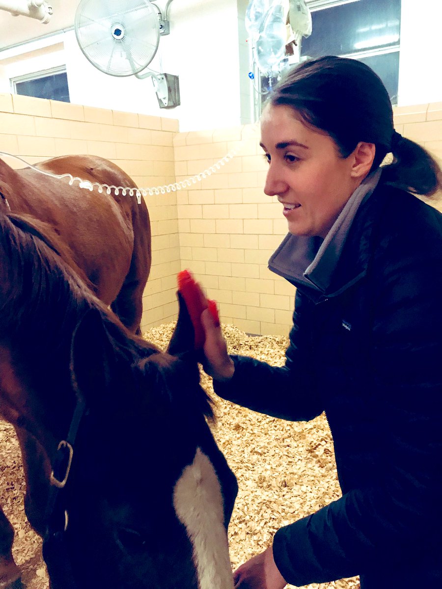 This is a special #appreciationpost for <a href="/pucvm/">Purdue Veterinary Medicine</a> outstanding care at #Purdue Large Animal Hospital plus the on call team of residents, medicine and surgery that took in Johnny in middle of night  #thankyou 
🐴 #horse ❤️
So grateful to have this incredible resource in our state!!