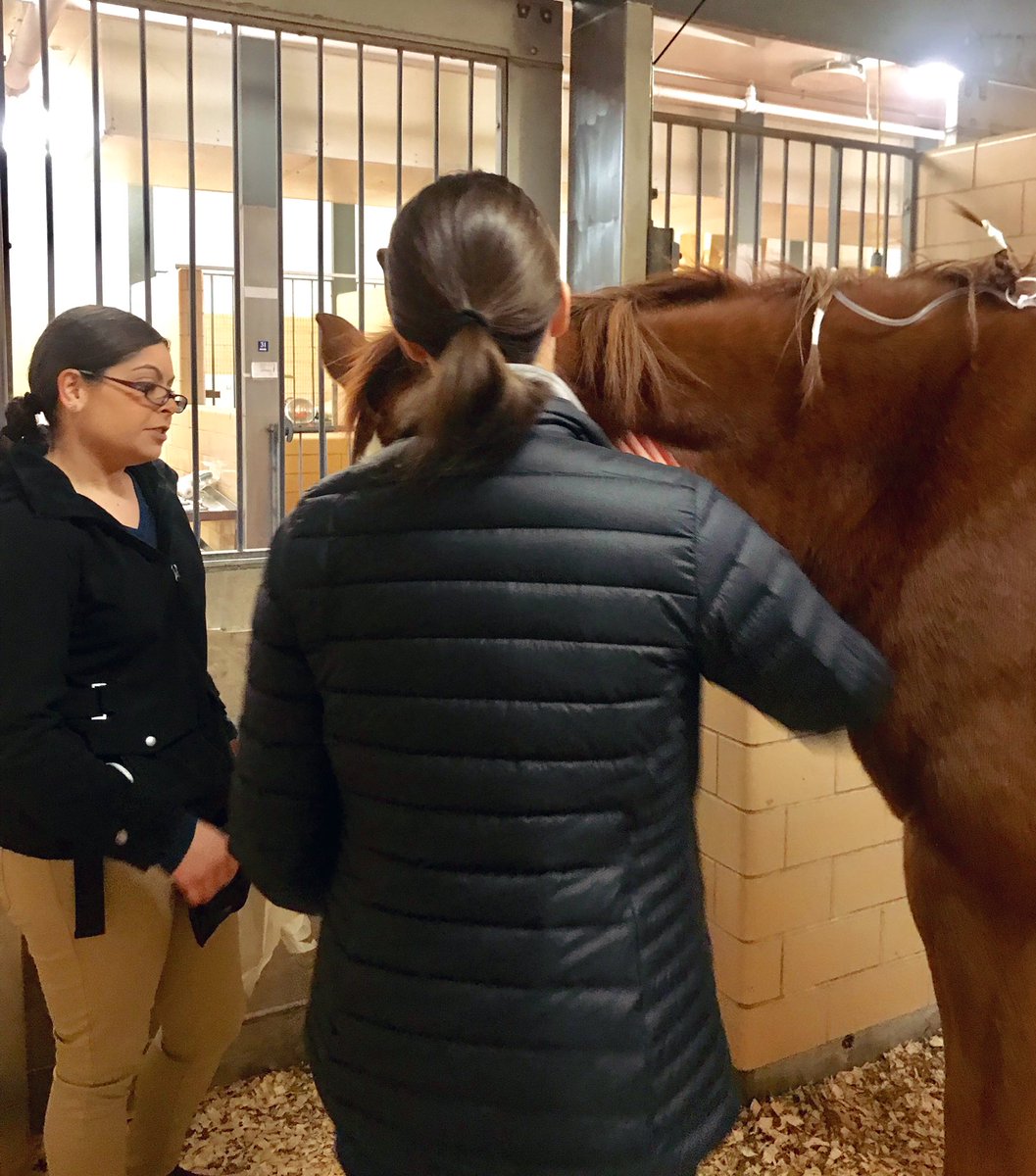 Julie Browning Bova tweet media