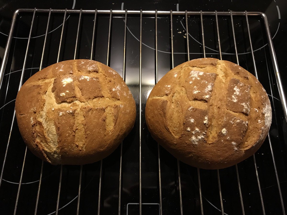 fabsh's tweet image. Well, look at that! It seems like my #FirstBread was a success! #Burebrot