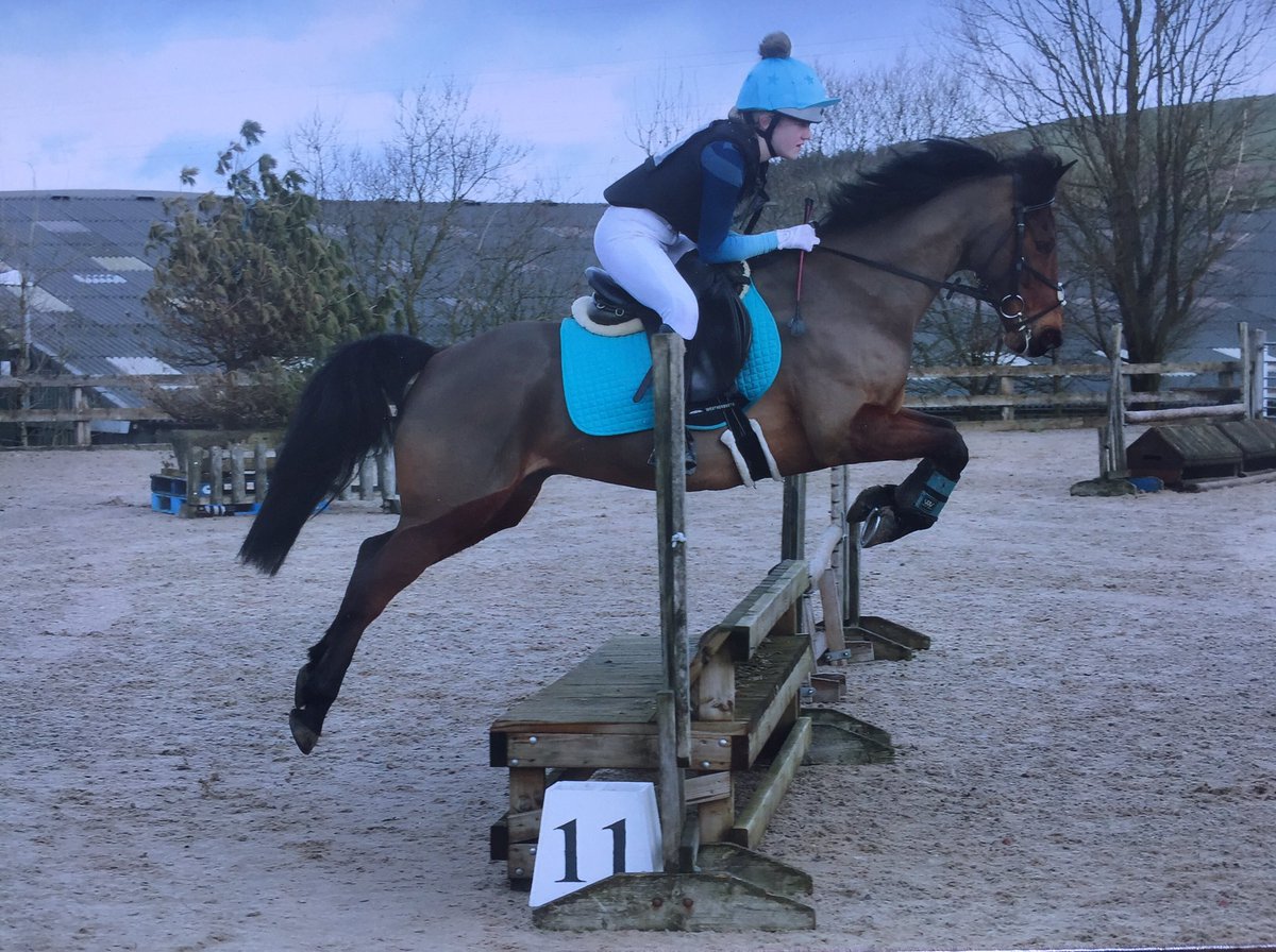 AwShowjumper's tweet photo. A successful day Arena Eventing at Croft Top today. 1st in the 70 but an unlucky pole down in the 80 SJ. Soldier Boy is loving the XC fences! #arenaeventing @CroftTopEquestr #speedipony @speedibeet @redequestrian13 @alfie_ogg https://t.co/uBVawTYvKL