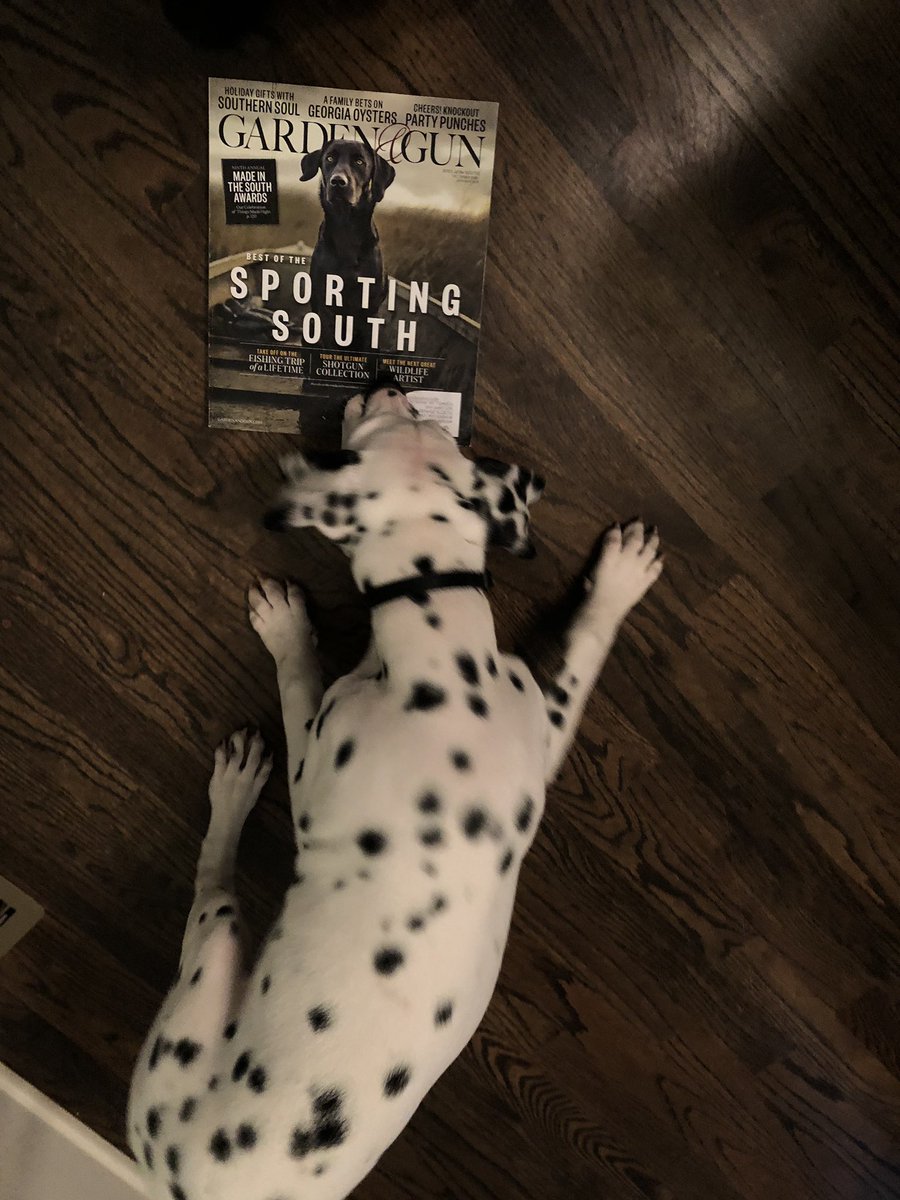 Our Dalmatian takes issue with <a href="/gunandgarden/">Gun and Garden</a> cover