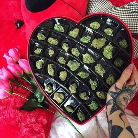 NeilSamra1's tweet photo. What ya think #StonerFam would you be happy with this for V-day❓ #DankInsteadOfChocolates #ValentinesDayGifts https://t.co/s4z0VB7neR