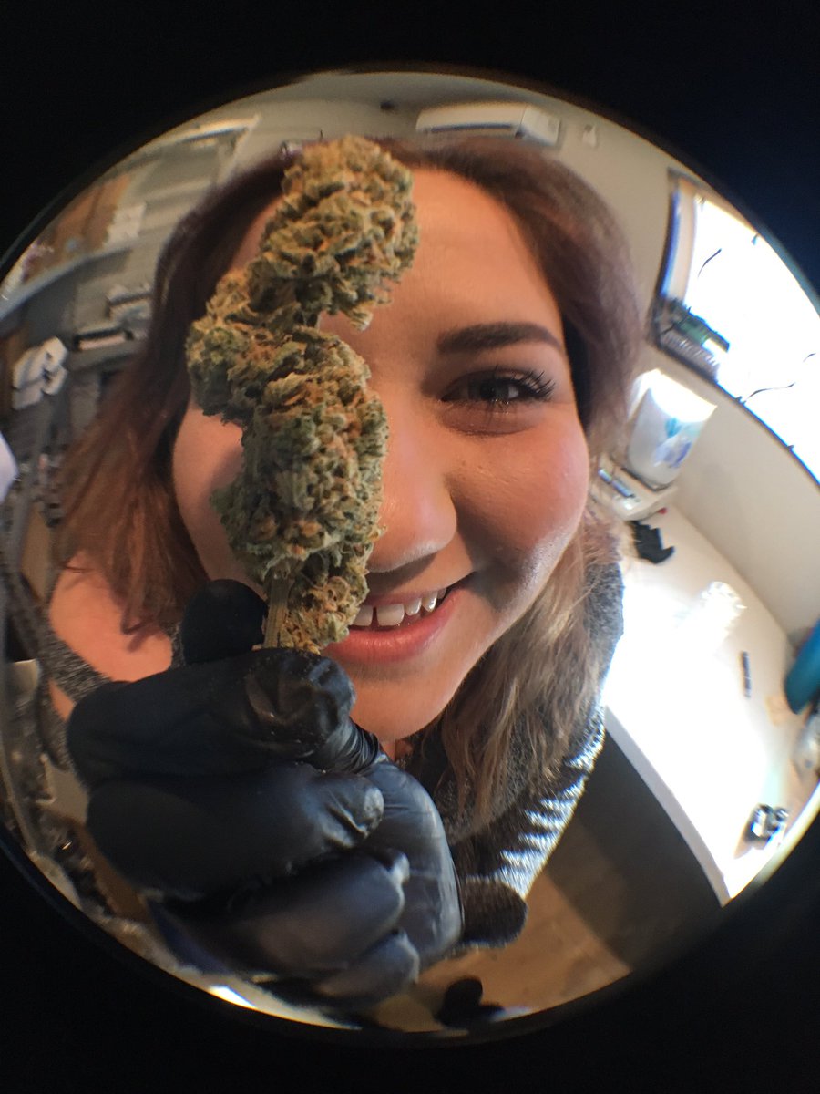 ChronicCortez's tweet photo. Come check out our Blue Dream and meet our amazing staff! We will see you soon!! 😁😁😁

#letthechronicbeyourtherapy #chronictherapy #chronictherapycolorado #chronictherapycortez #cannabis #cannabiscommunity #cannabisculture #cannabiscures #cannabissociety #cannabisheals https://t.co/zU03o4dwyC