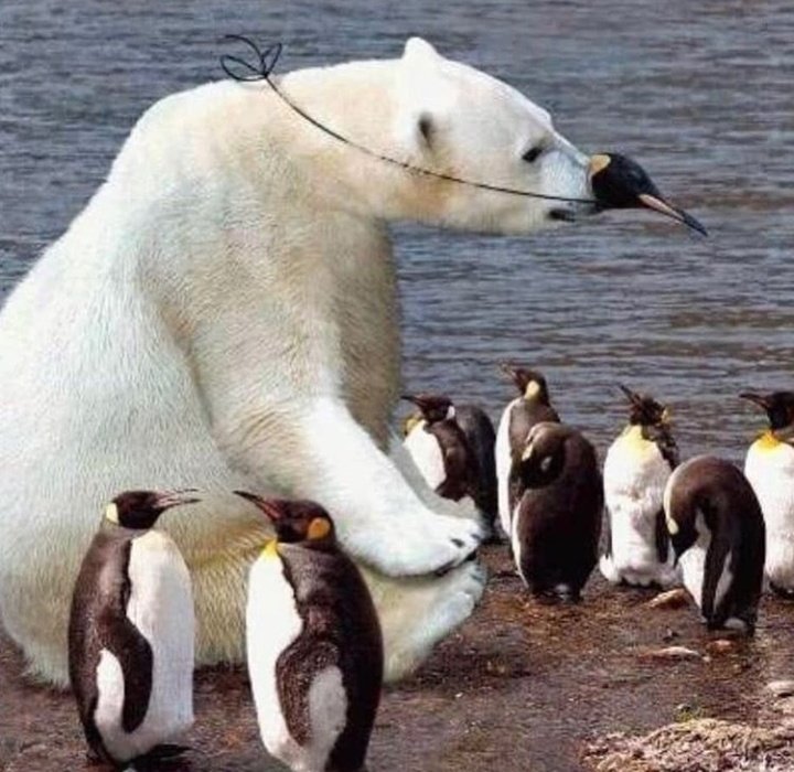 cursedimagepost tweet picture
