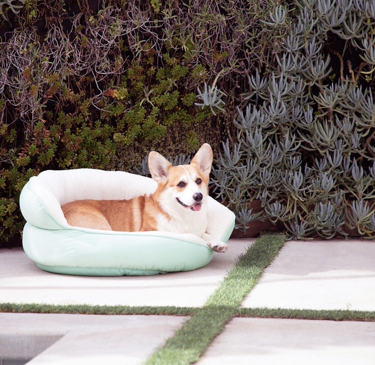 UrbanPawPet's tweet photo. We appreciate your support while we continue to rebuild after the warehouse fire. We’ll keep you updated. In the meantime, be sure to visit our sister site https://t.co/Xmcu2iClX2 to get all your comfy furbaby beds! https://t.co/1U5eDVvAQQ