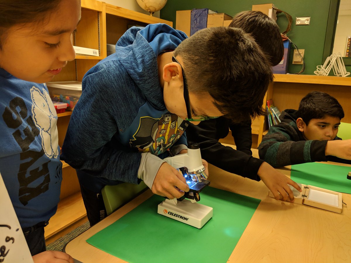 keyeslibrary's tweet photo. A HUGE thank you to Donor's Choose for our new microscopes and slides in the library! Students are so excited to see their world up close. @IrvingLibraries @KeyesTigerCubs https://t.co/tgsNrUl1qF