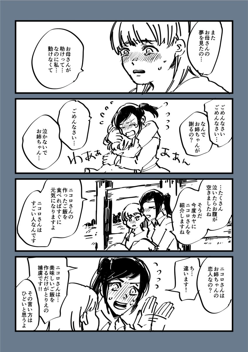 ニコサシャ 