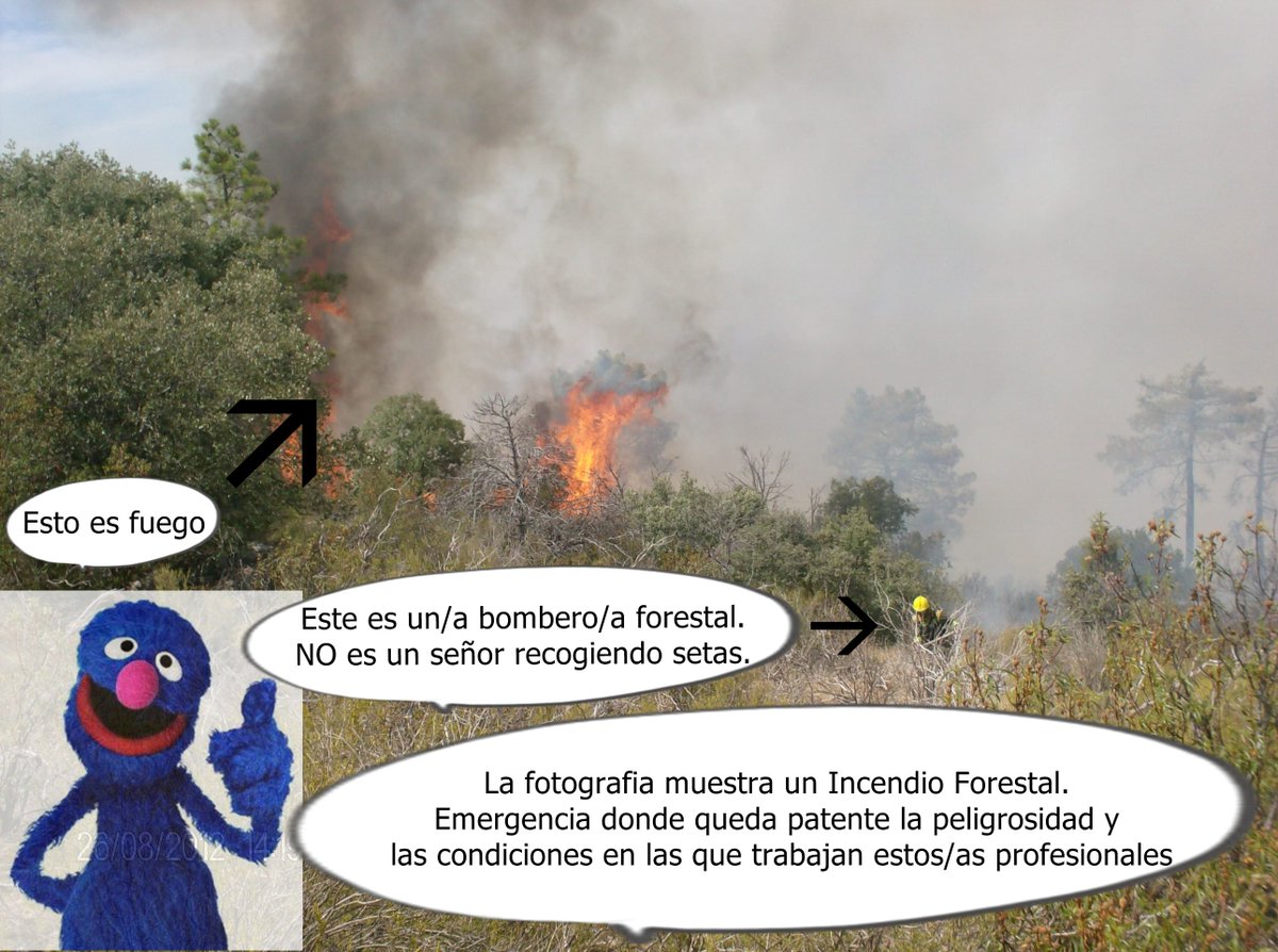 FIRETBF's tweet photo. En un #IIFF la exposición a riesgos es constante.
El ambiente tóxico junto a las condiciones de intervención (vegetación, orografía...etc) hacen que las tareas sean de una especial penosidad. ¿Pq no se reconoce la peligrosidad y penosidad a lxs #BomberosForestales @empleogob? https://t.co/Lfnr3Ews2t
