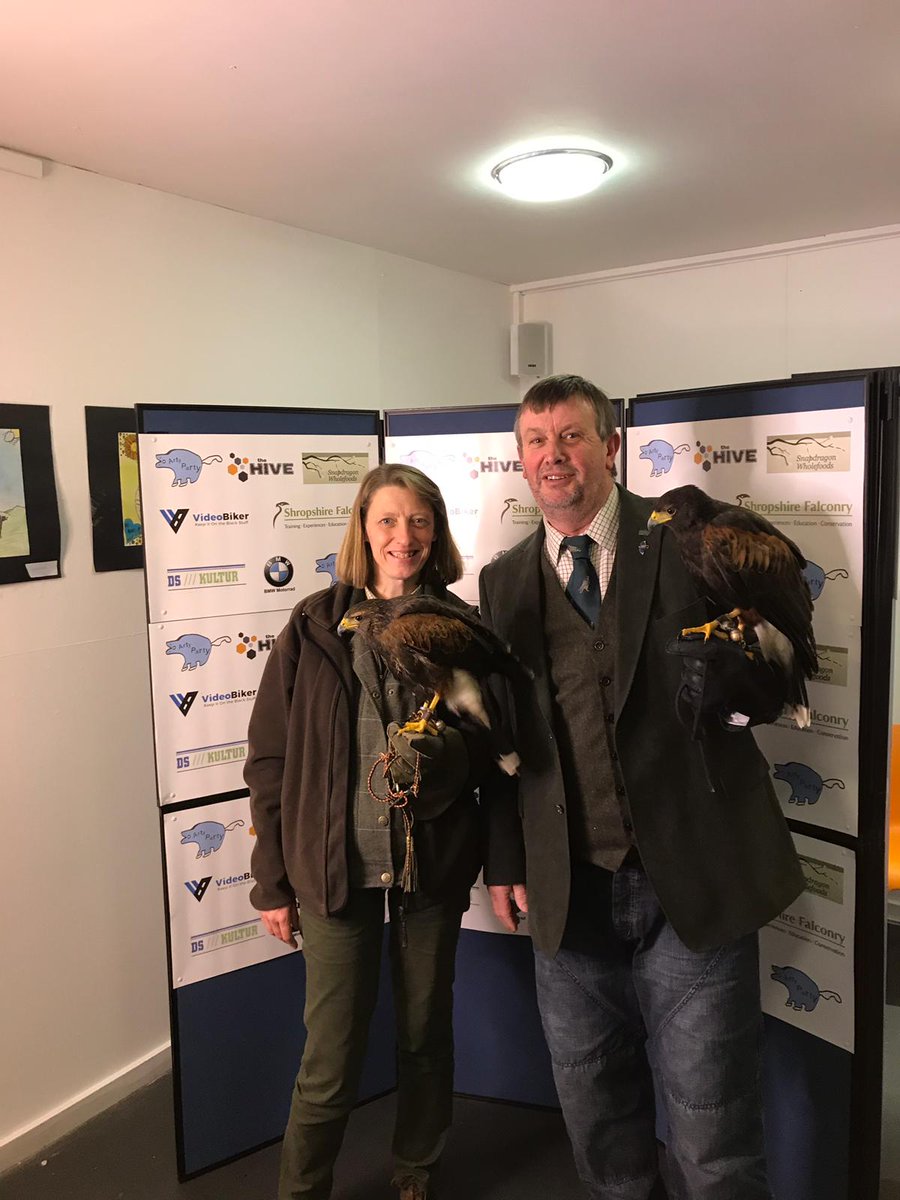 Shropshire Falconry tweet media