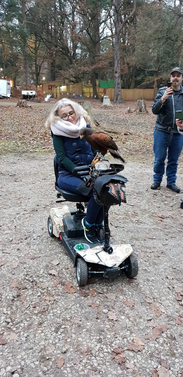 Shropshire Falconry tweet media
