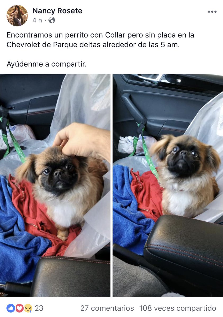 ¡Ayúdalo a volver a casa! <a href="/MascotasSismo/">Mascotas Sismo</a> encontraron a este perrito sobre Obrero Mundial entre Pitágoras y Cuauhtémoc. Aprox a las 5am!  Si lo conoces o conoces a sus dueños, comunícate San Canito (5548292415) ahí tienen  los datos de quién lo cuidara temporalmente!