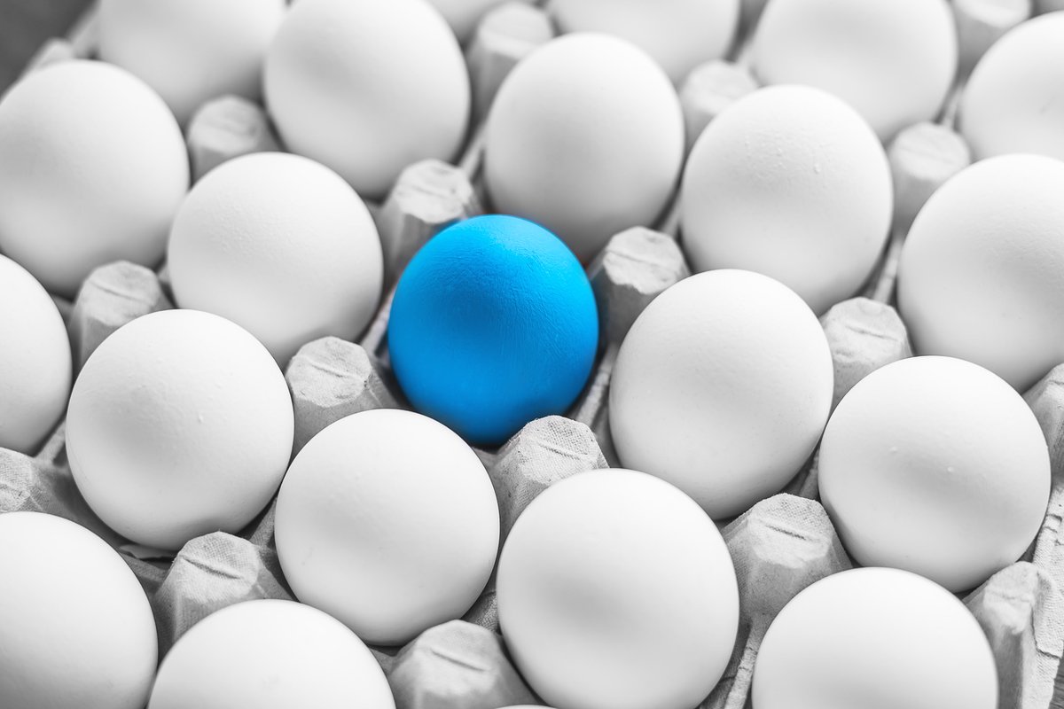 HatchforHunger's tweet photo. One egg can make a difference. #HatchForHunger #EveryoneDeservesEggs https://t.co/3K4UAjxs3k
