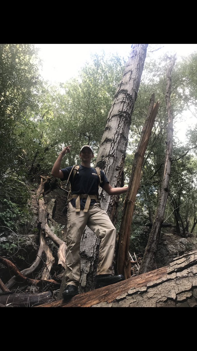 RyanBavier's tweet image. Elevated