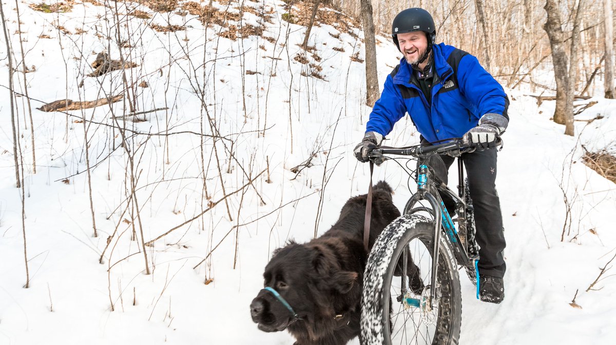 exploreminn's tweet photo. Get out and find winter fun for you and your dog with these ideas: https://t.co/gIzOWzVgKQ #OnlyinMN https://t.co/A5kNckphuU