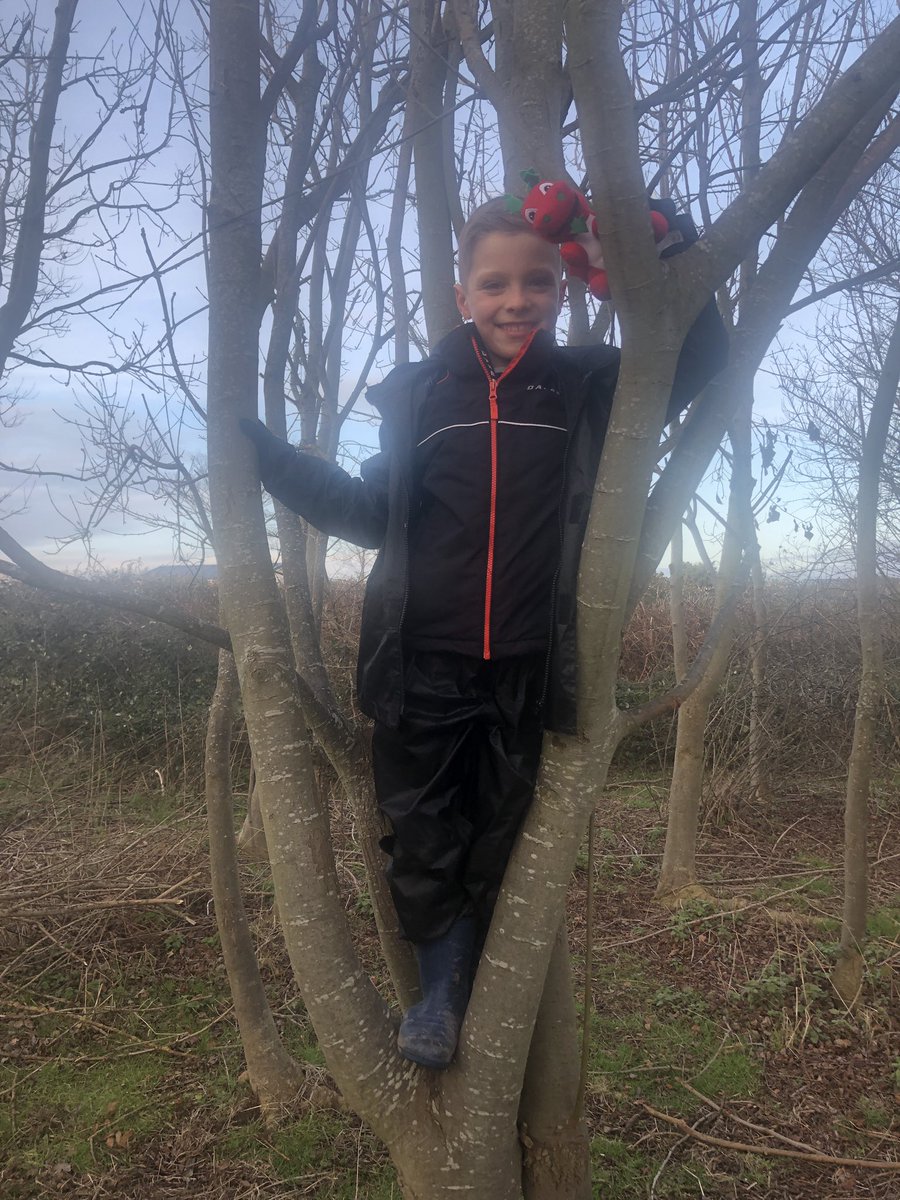 Nicib55Bennett's tweet photo. @ysgolbrynhedydd Da iawn Lewi am ennill Siaradwr Cymraeg yr Wythnos. Mae Lewi wedi mwynhau ei amser gyda Harri yn ystod y penwythnos ‘ma yn fawr iawn ac yn edrych ymlaen i rannu yr holl luniau hefo’r dosbarth yfory! 😁 https://t.co/MsLb7qI0py