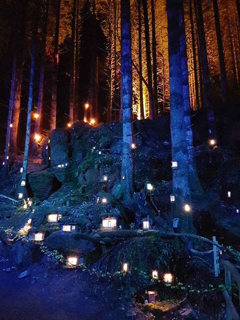 camundson1's tweet photo. The enchanted fairy village #Winterlights are such genious and incredible fun from @bluestone in West Wales! https://t.co/fo7exCovvP