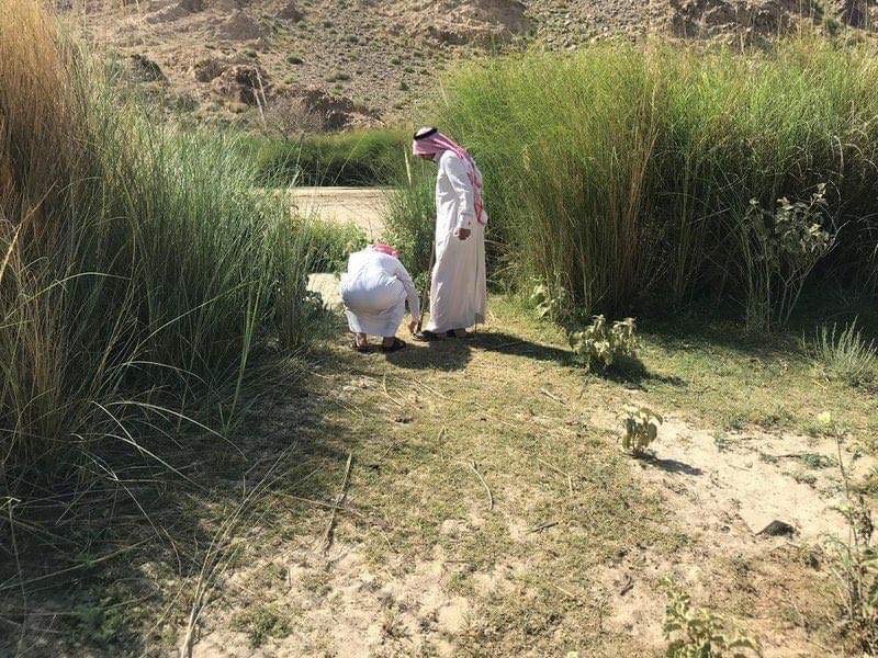 ضمن مبادرة "أنا صديق البيئة"، طلاب بـ #عسير يزرعون 7 آلاف بذرة سدر على ضفاف الأودية