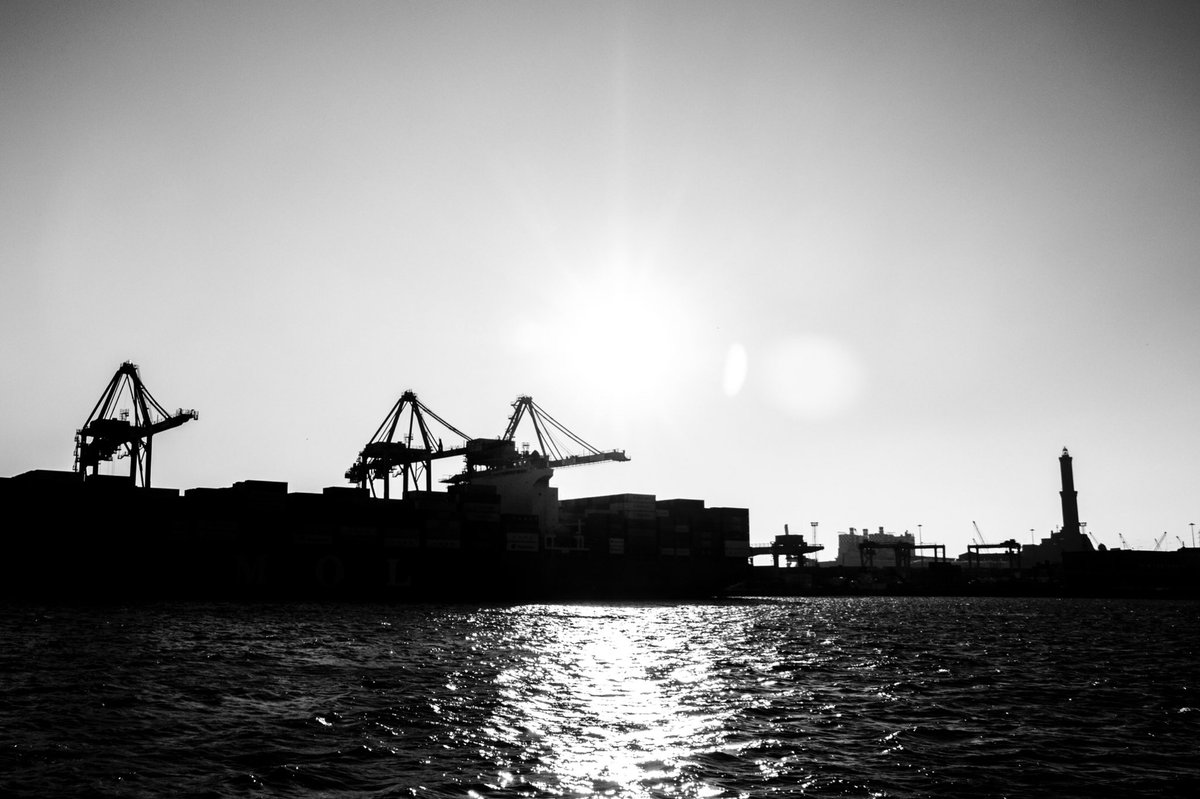 #trovalalanterna tweet media