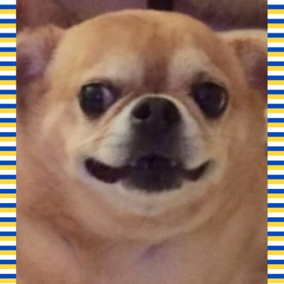 minnimascot's tweet photo. #NewProfilePic https://t.co/dmBzmGrfBY