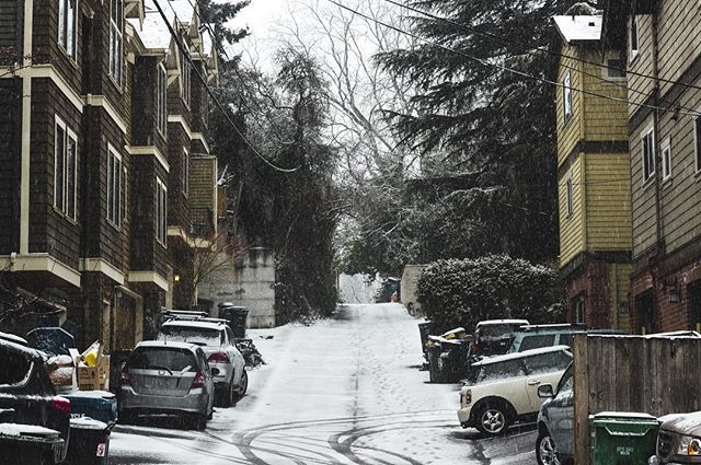 realmattthemk's tweet photo. The road less traveled. .
.
.
.
.
#snowpocalypse #alley # beauty #moodedits #streetstyle #50mm #seattle # backwoods #pnwphotographer #snowday # weekend #lightroomedits #exploretocreate #cars #parkinglot #neutraltones # forest #photoshop #canon5dmarkiv  #… https://t.co/KGfqtBKQxN https://t.co/FJys9hkEf8