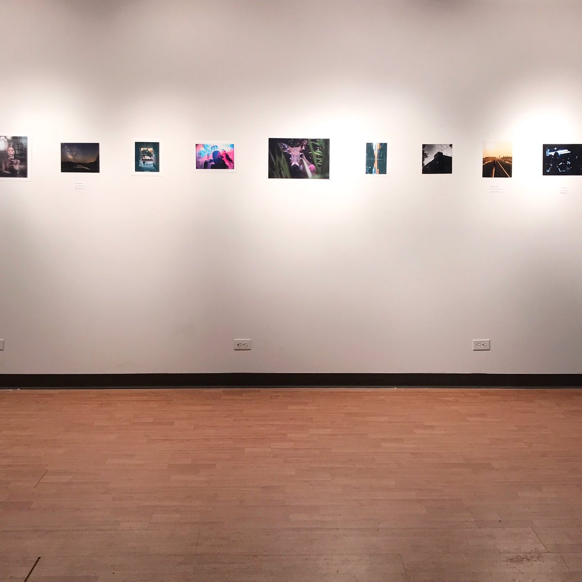 GoSA_gallery's tweet photo. ‘The Photography Platter,’ an exhibition of works by members of the U of M Photography Club opens tomorrow! Closing reception will be on Friday, February 15th at 4pm! https://t.co/zglu5uMcuk