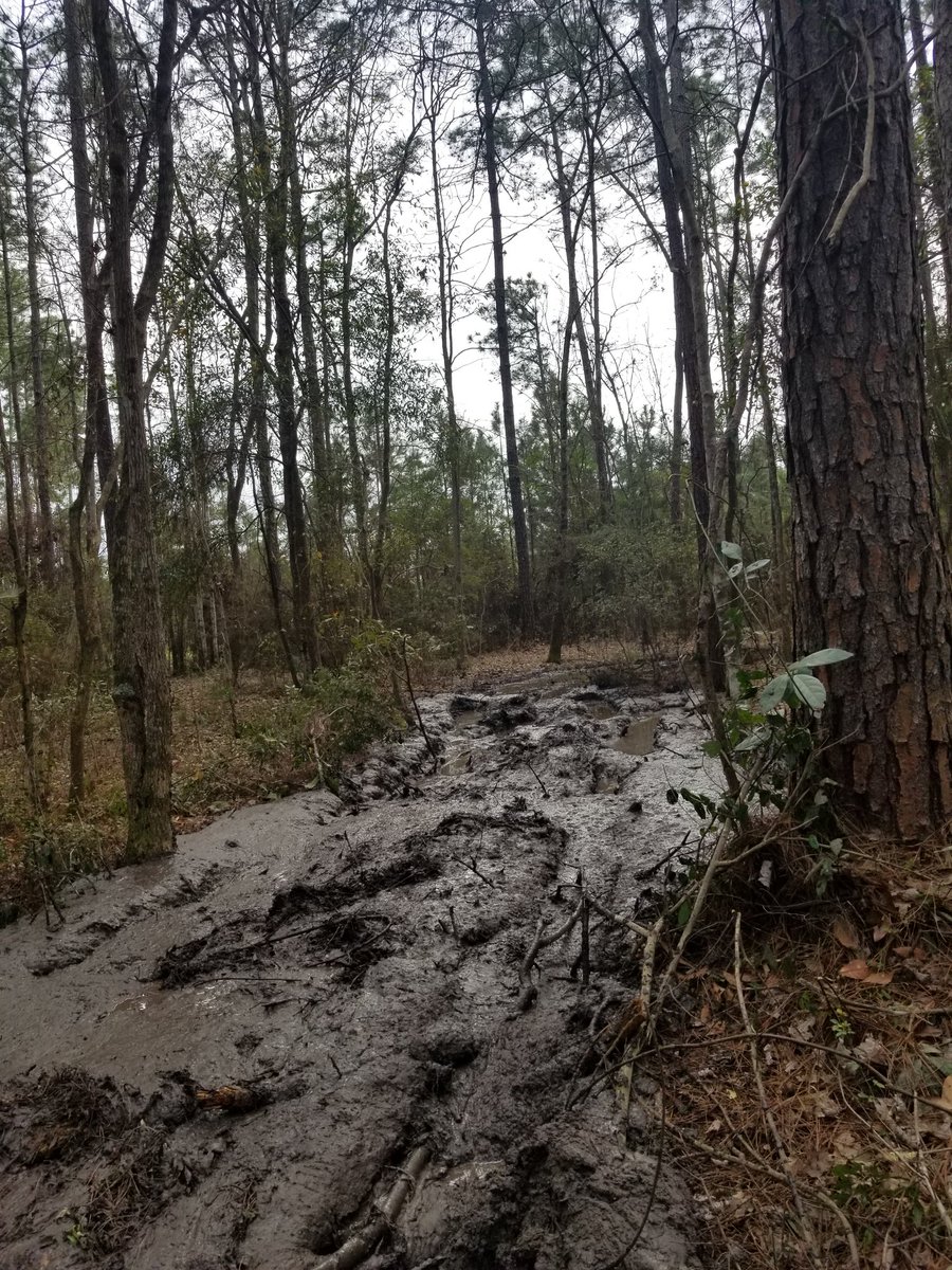 Sunday Funday! Who would go through this? 🙋🏼‍♀️ #jeep #jeeplife #JeepMafia #jeepdaily #jeepfreaksofflorida