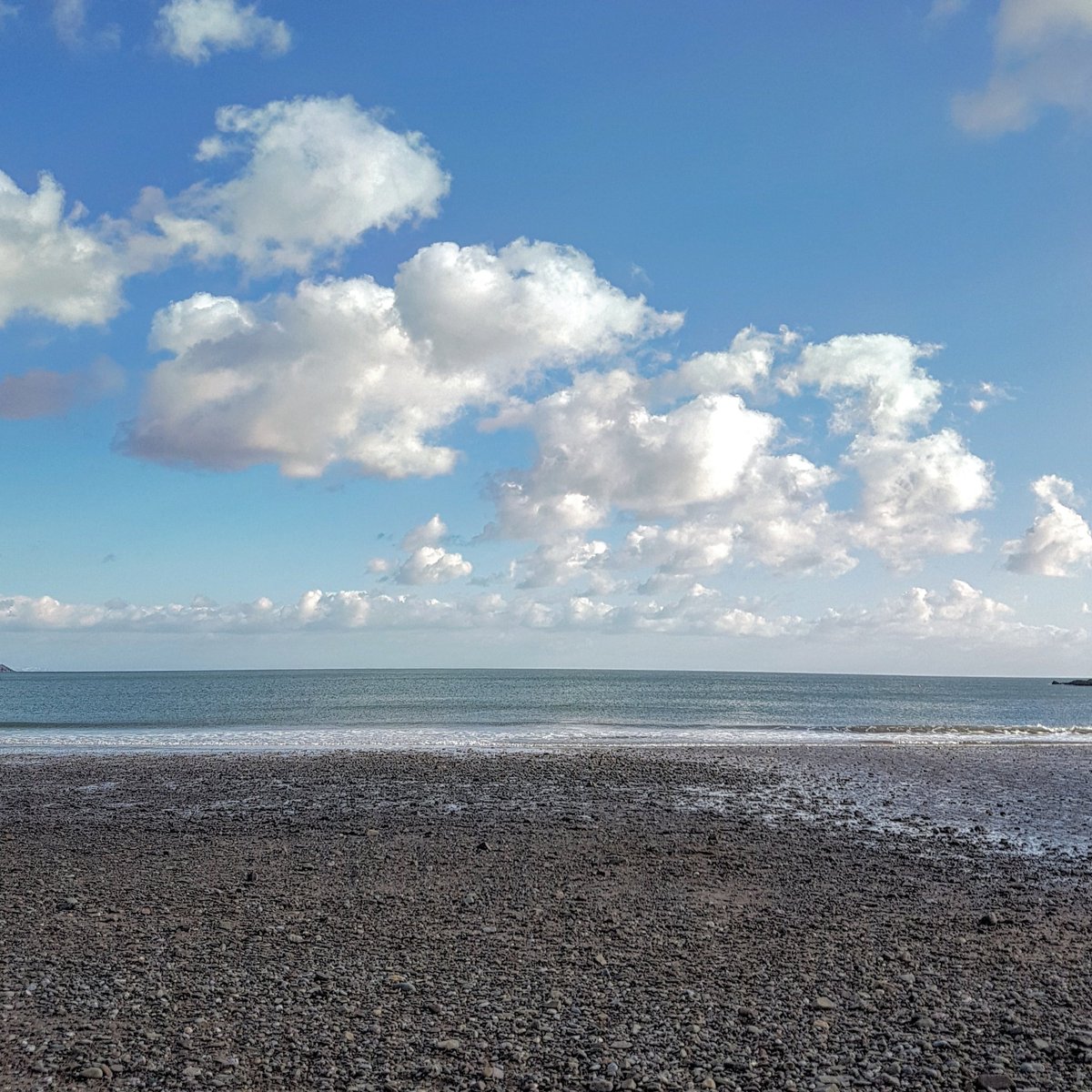 🍃🍂🍁 tweet media