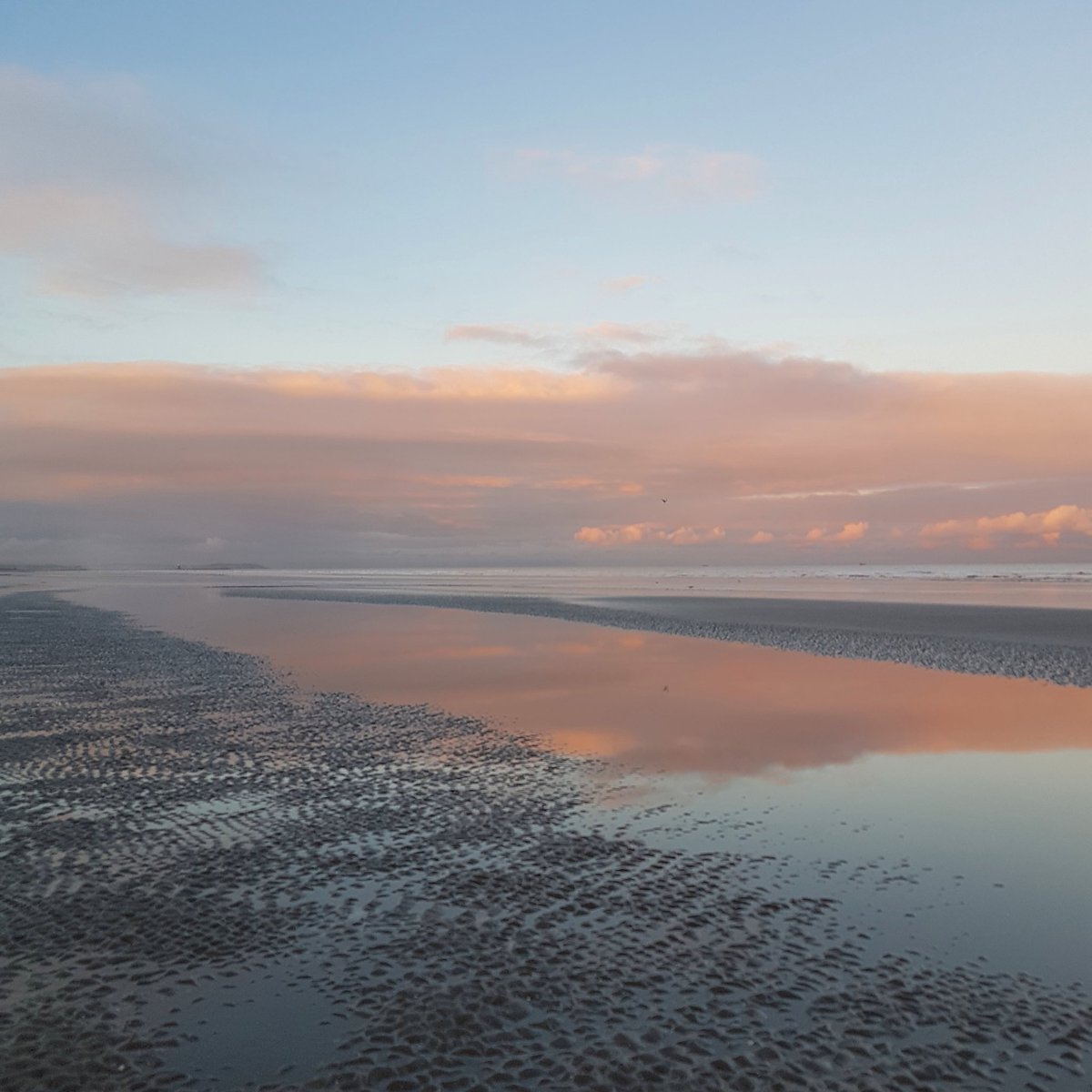 🍃🍂🍁 tweet media