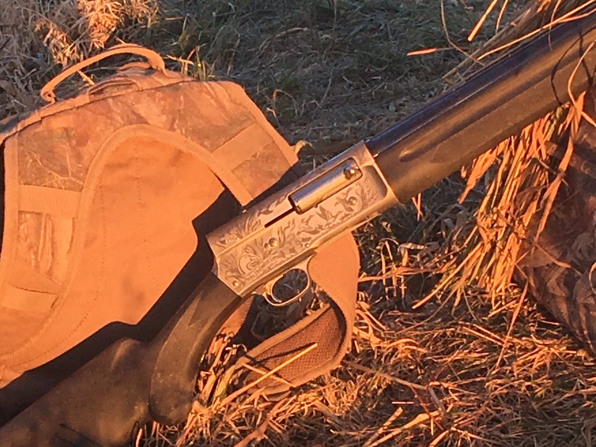 czarofbar's tweet photo. The @BrowningArms #A5 and the @BenelliCanada #SBE2 barked once each and that was enough. #pittwaterfowlers #springgeese https://t.co/7bmVh4QCA2