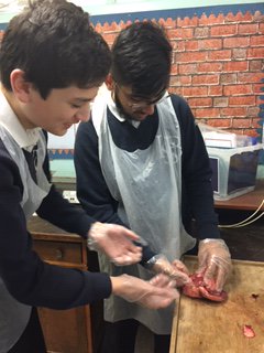 LBoysSchool's tweet photo. #ScienceLBS
#LearnBelieveSucceed
#TeamLBS https://t.co/tsclsZbUPz