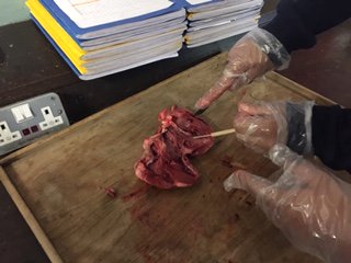 LBoysSchool's tweet photo. #ScienceLBS
#LearnBelieveSucceed
#TeamLBS https://t.co/tsclsZbUPz