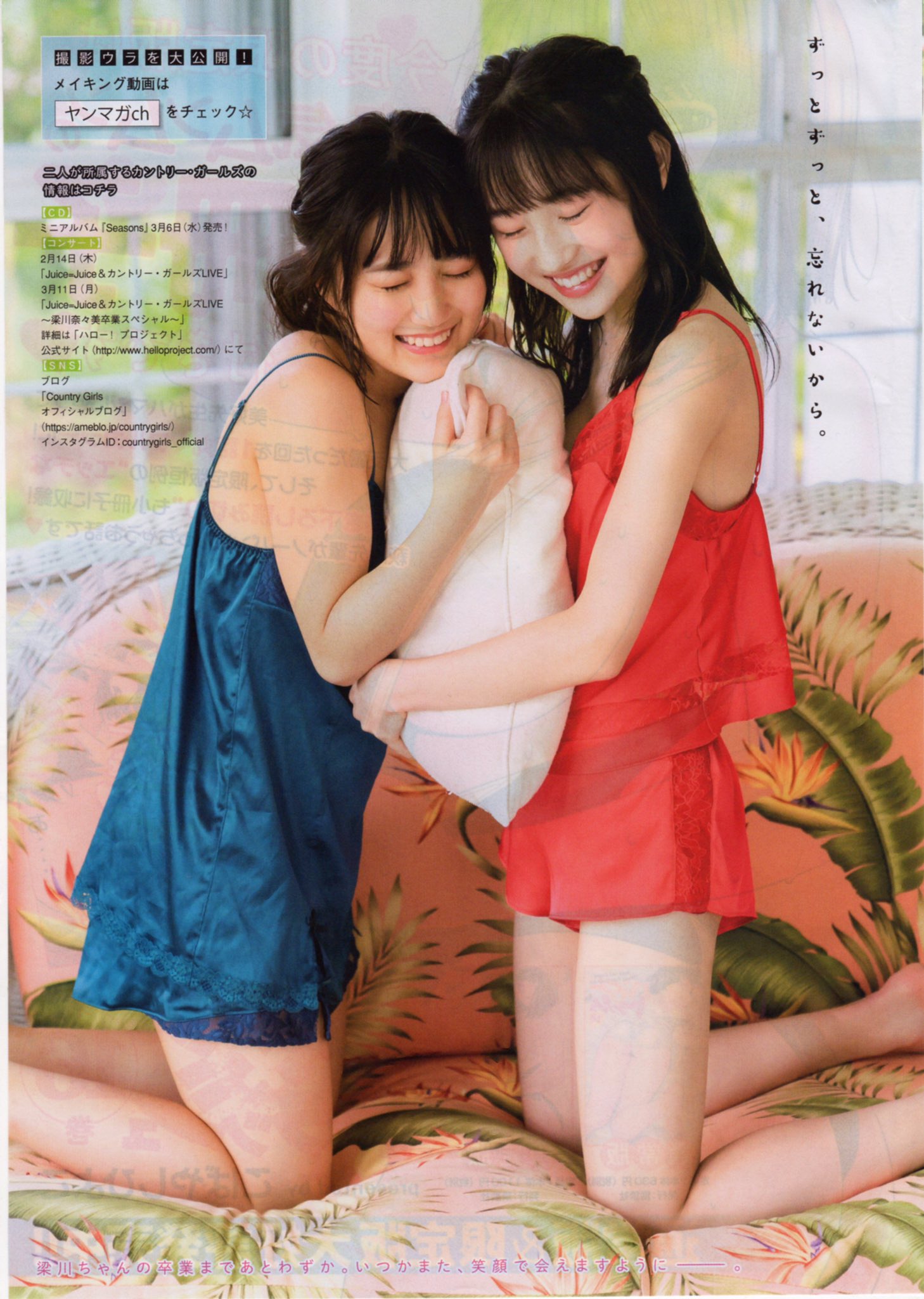 2024年最新海外 ヤングマガジン2019年11号 （梁川奈々美 船木結＆梁川奈々美 お笑い・バラエティ