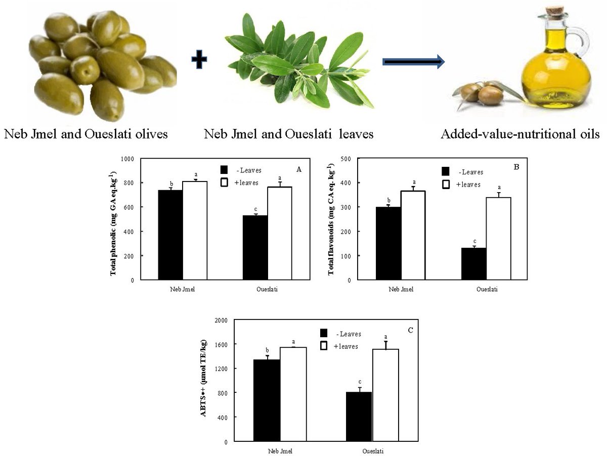 Molecules_MDPI's tweet image. #mdpimolecules Olive Leaf Addition Increases Olive Oil Nutraceutical Properties mdpi.com/405986 #NaturalAdditives #oliveoil