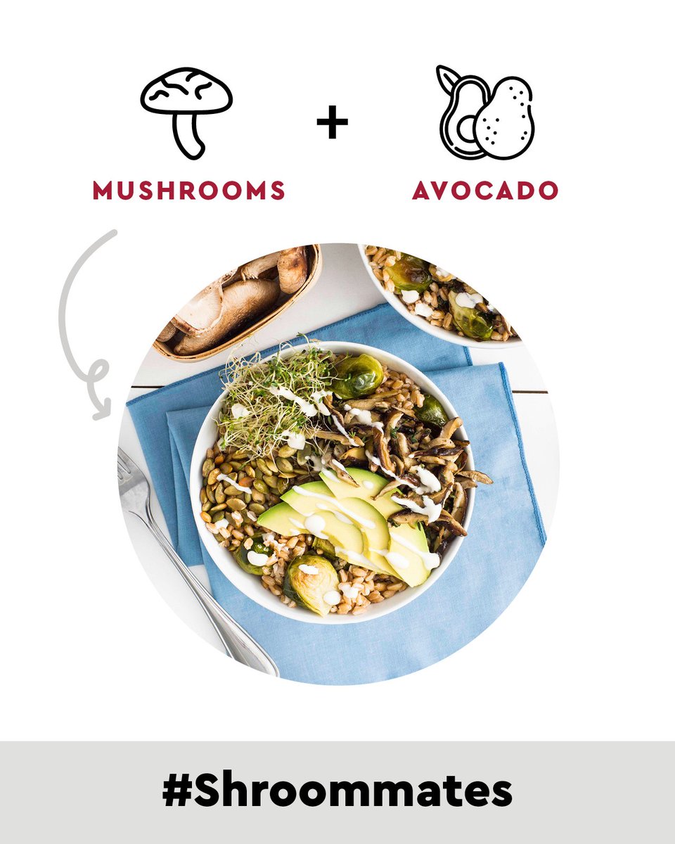 MushroomCouncil's tweet photo. Avocados can help boost absorption of nutrients, including vitamin D, which can be found in mushrooms. Get both of these flavorful #Shroommates in this Avocado and Farro Harvest Buddha Bowl. https://t.co/wO3Vs6m0YJ https://t.co/GrvYeZwWSf