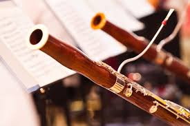 Check out everything going on this month in our February Chamber Notes - mailchi.mp/c9c40fedc689/f…