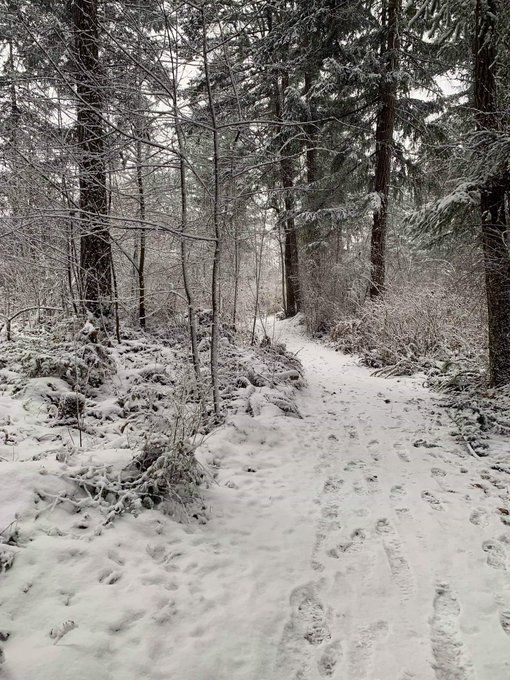 This doesn't happen very often here in BC but we got hit with SNOW❄❄ today! It's magical! https://t.<a href="/tag/newprofilepic"class="tags"><span>#newprofilepic</span></a>