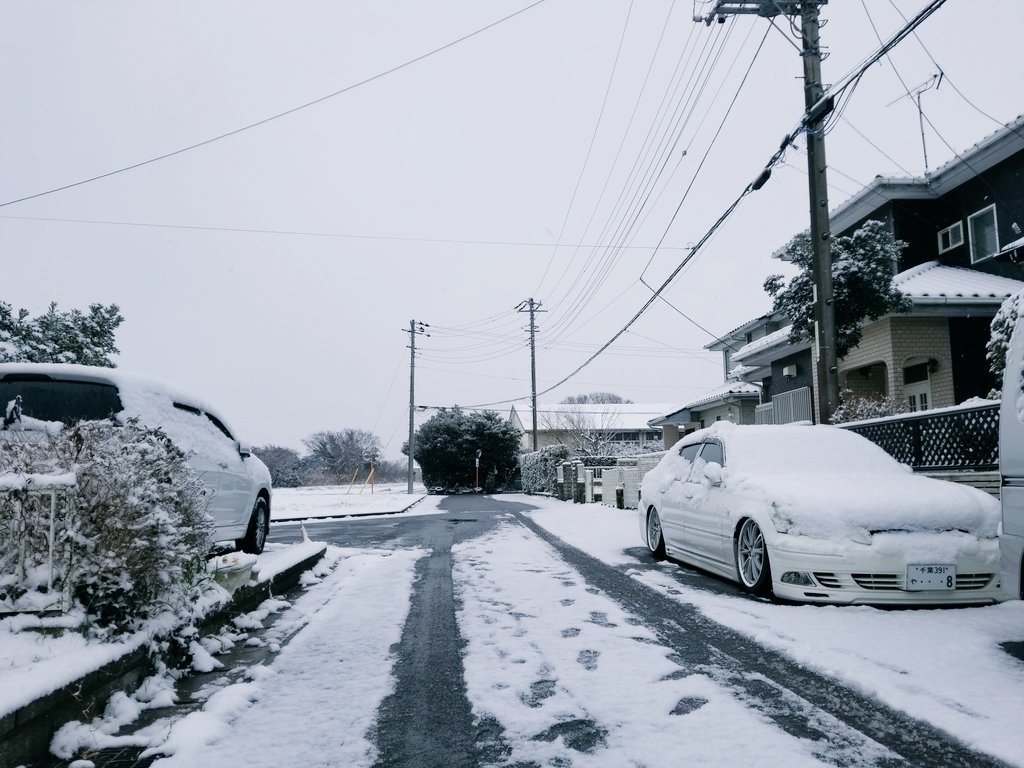 おはようございます🙄