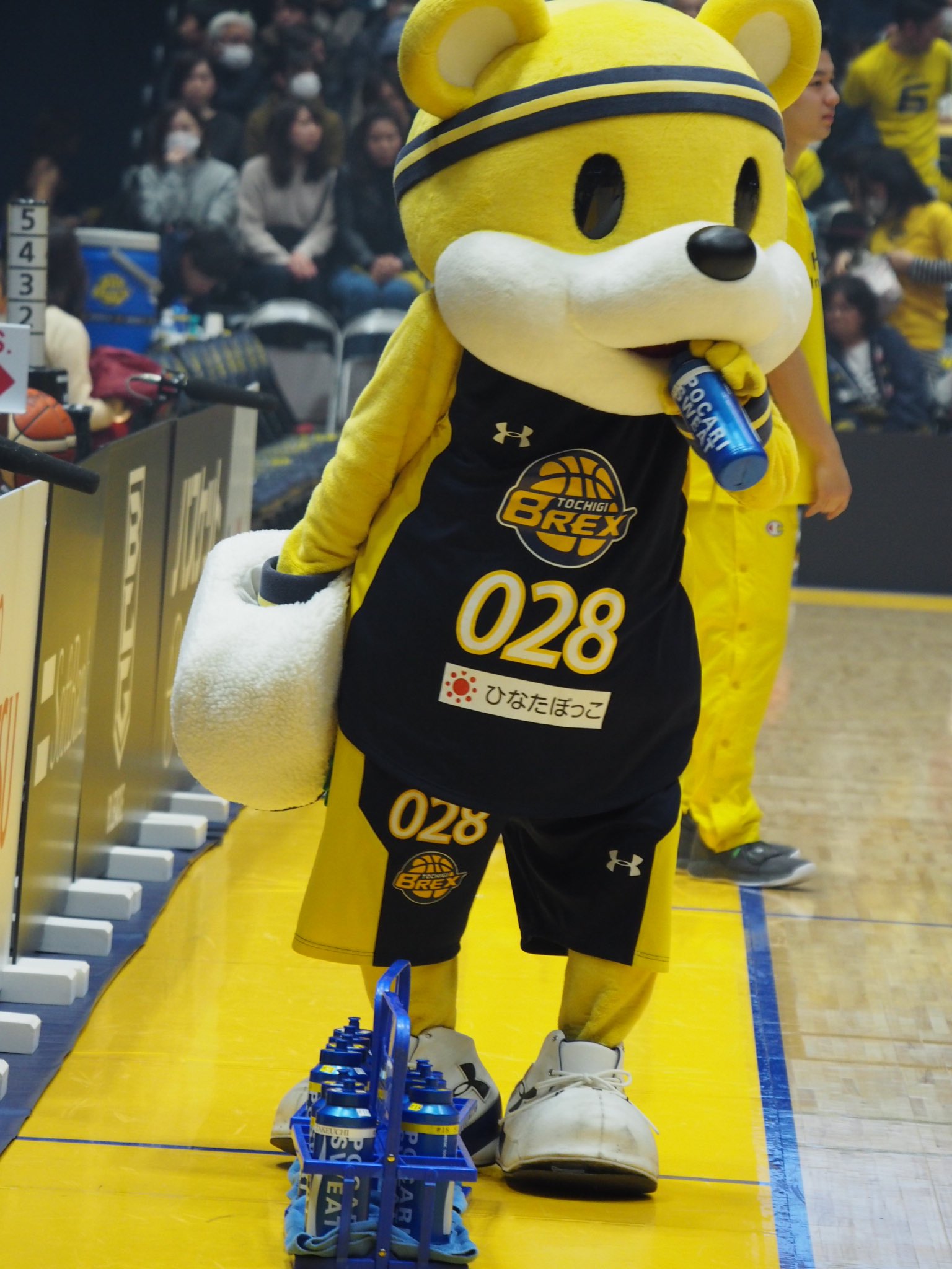 ⑩ ブレックス ブレッキー 香る勝ちだるま みかす🏀🥟🐨 on X: 