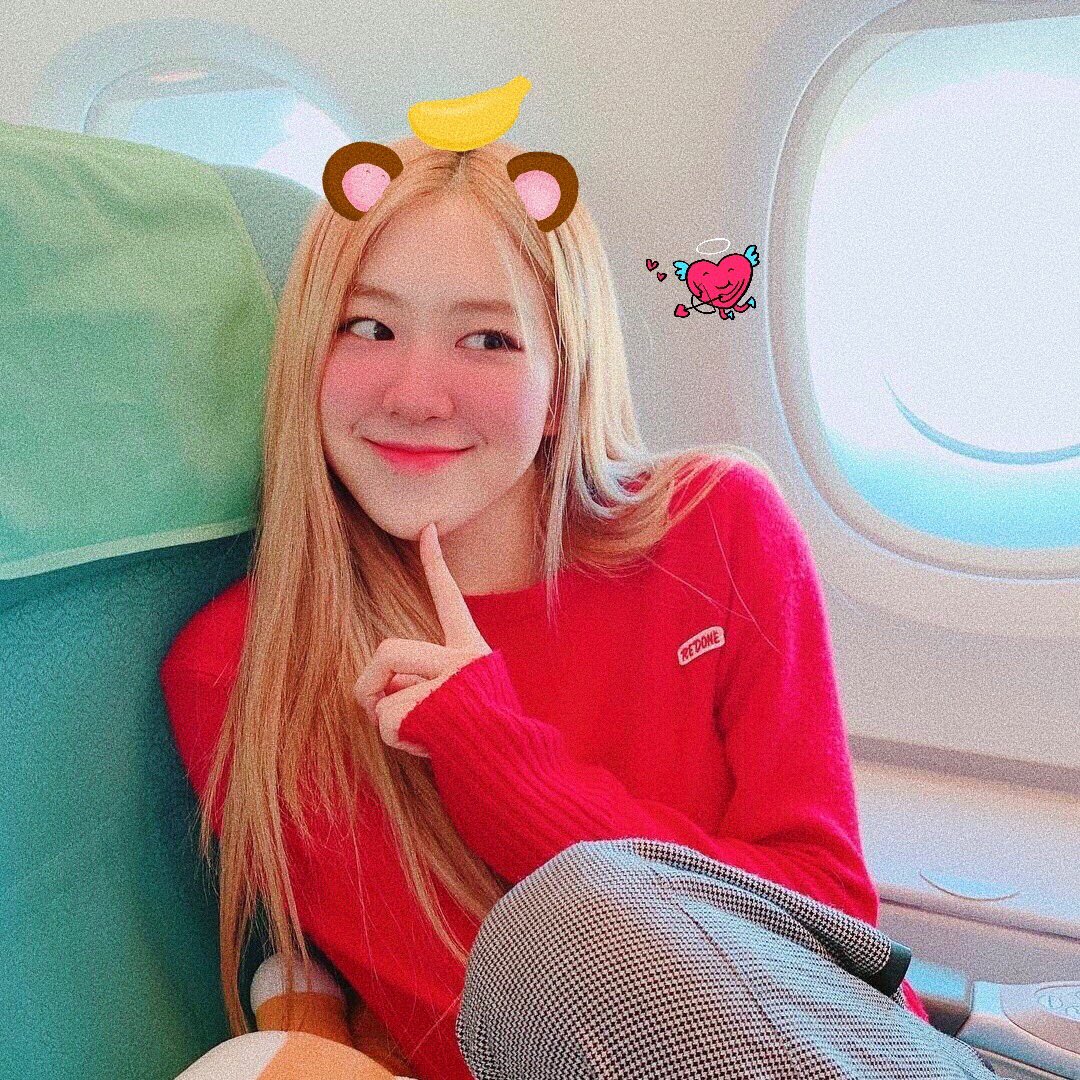 softkgirlbot's tweet photo. ˚₊· ͟͟͞͞➳❥ rosé  ୨୧  (🎊) ₊˚ 

          #박채영┊͙ #RosesAreRosieDay https://t.co/sJcnFPxQM2