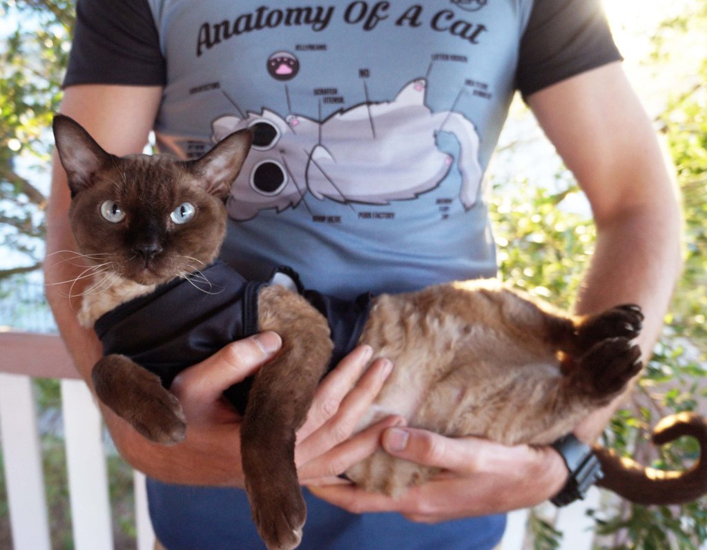 TweetLivingDead's tweet photo. Ever get the feeling your significant other loves the fur baby more than they love you? 😹 https://t.co/C5T3HkKjCa https://t.co/OsWfpoqscO