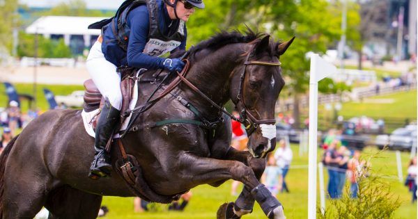 DraperTherapies's tweet photo. Riding anxiety isn't just reserved for the inexperienced: https://t.co/bWwpnepLYa #drapertherapies #equestrian https://t.co/nmqnEhjp8a