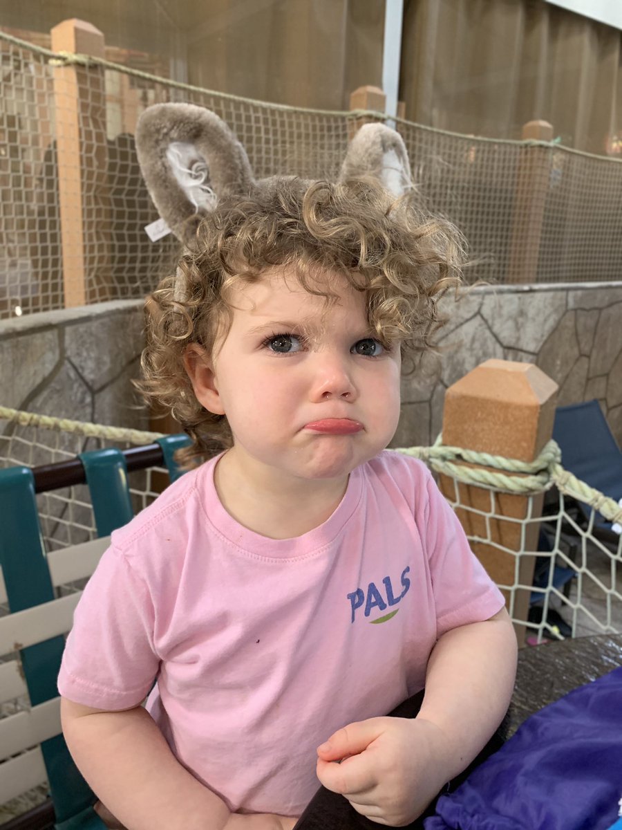 PALSprograms's tweet photo. TFW #PALSGreatWolfLodge is over, and you remember won't get to hang out at #PALSPrograms until June! Don't forget to #ApplyToPALS and secure that spot this summer. https://t.co/P2cDznVd7Q https://t.co/hfk9sXg4pF